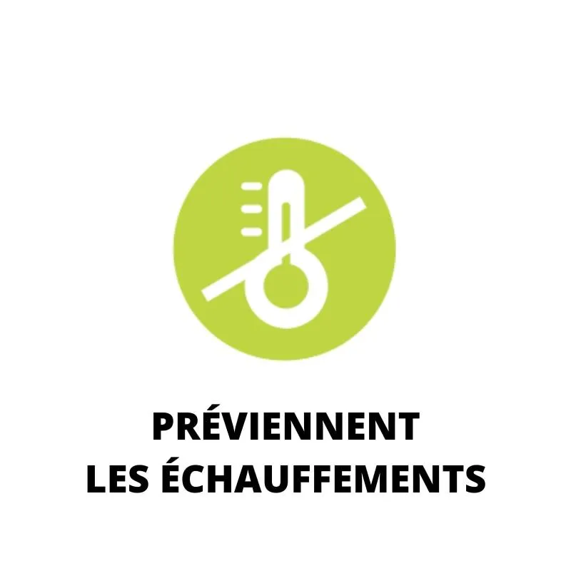 Lady's Secret Semelles 100% Cuir Confort et Amorti cuir
