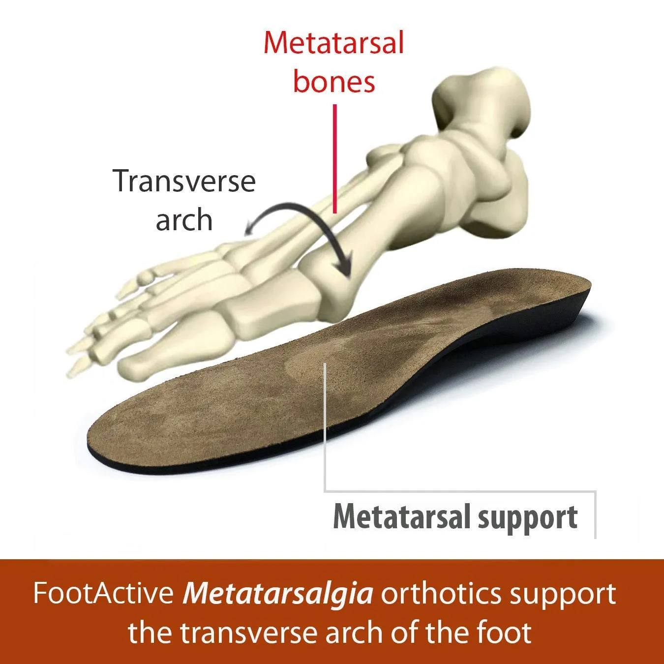 FootActive semelles métatarsalgie pleine longueur arche